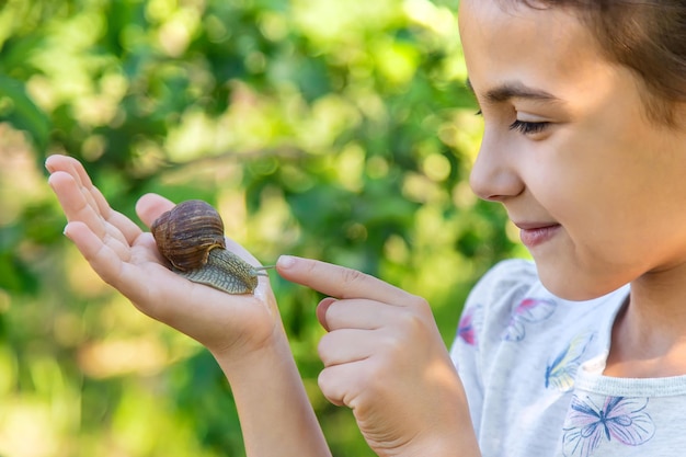 L'enfant examine les escargots sur l'arbre Mise au point sélective