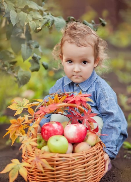 Enfant fille et panier avec des pommes dans un jardin d'automne