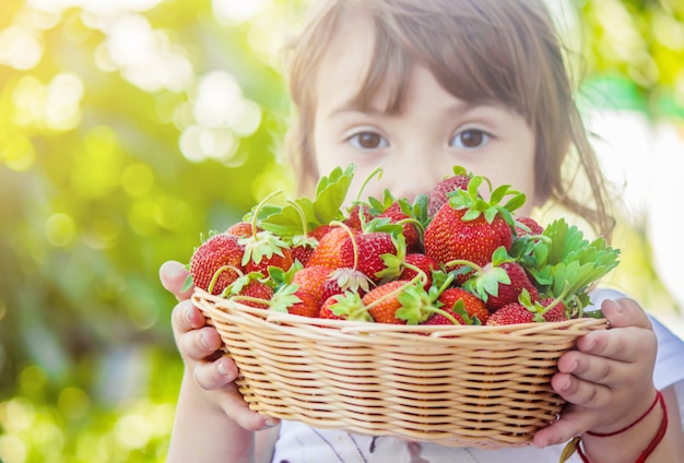 Enfant et fraise. Mise au point sélective. Nourriture et boisson.