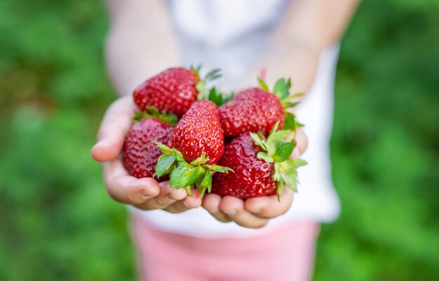 Un enfant avec des fraises dans les mains