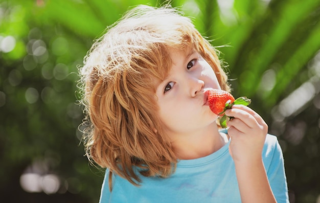 L'enfant gai mignon de nutrition organique mange des fraises sur le fond vert d'été l'écolier est