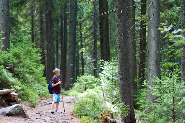 Enfant garçon avec sac à dos randonneur et bâton seul dans la forêt de pins.