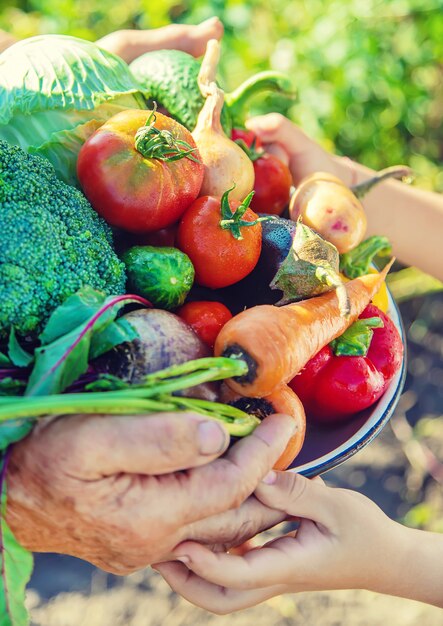 Photo enfant et grand-mère dans le jardin avec des légumes à la main