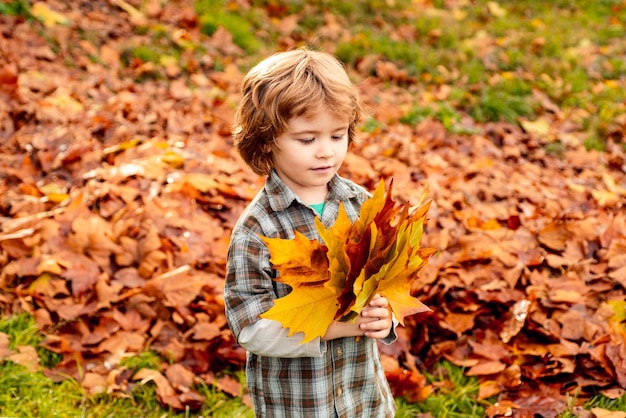 Enfant heureux dans le parc le jour d'automne ensoleillé Joli garçon en pull à l'extérieur le beau jour d'automne