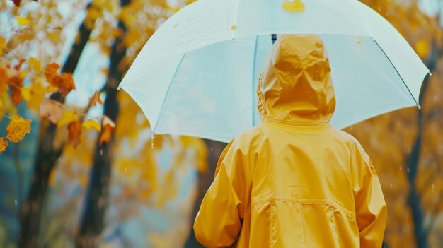 Un enfant en imperméable sous un parapluie par une belle journée d'automne