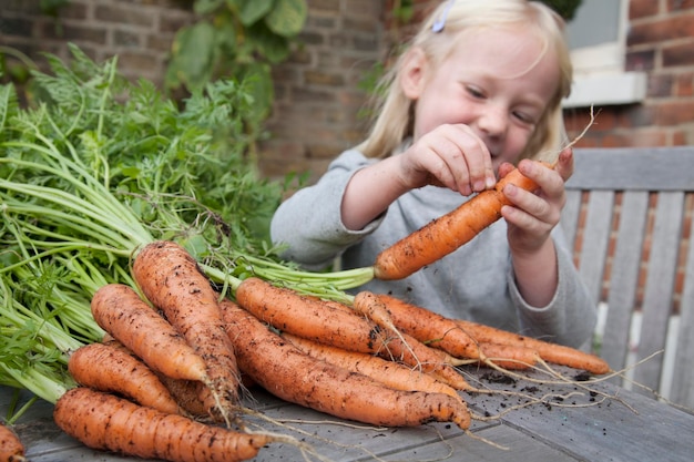 Un enfant inspectant des carottes fraîchement cueillies recouvertes de boue