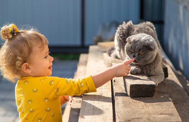 L'enfant joue avec le chat Mise au point sélective