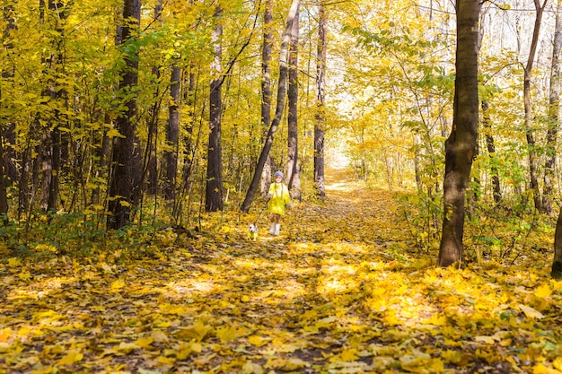 L'enfant joue avec Jack Russell Terrier dans la forêt d'automne