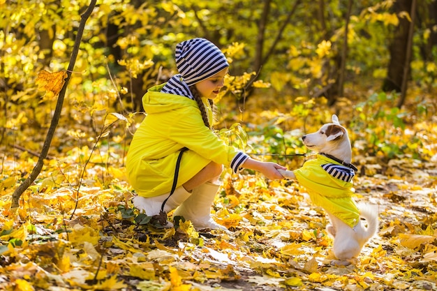 L'enfant joue avec Jack Russell Terrier dans la forêt d'automne