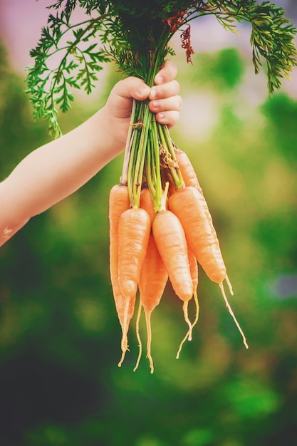 Enfant et légumes à la ferme. Mise au point sélective.