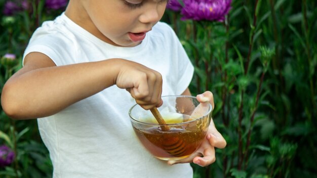 L'enfant mange du miel dans le jardin.