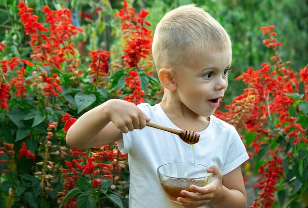 L'enfant mange du miel dans le jardin.
