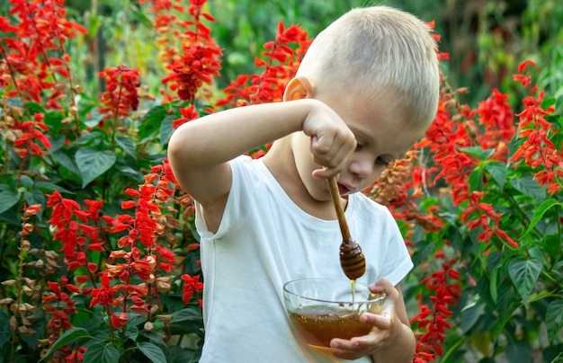 L'enfant mange du miel dans le jardin.