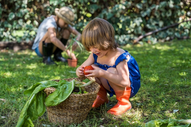 Enfant, manger, fruit, arrière-cour