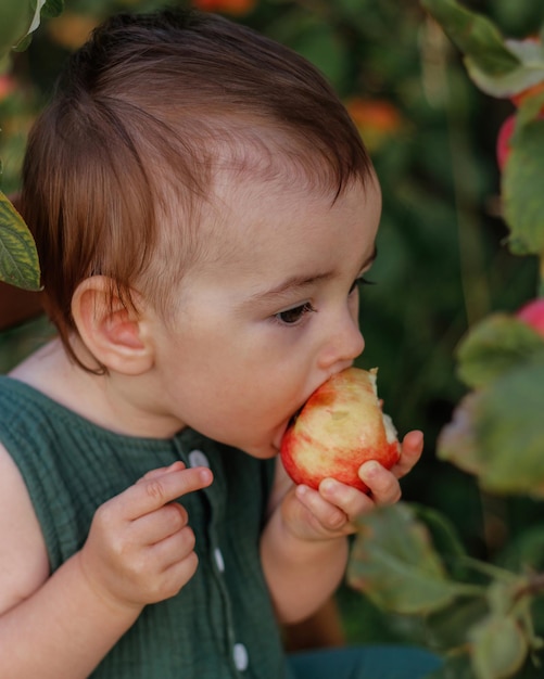 Un enfant mignon d'un an avec plaisir mange une pomme dans un jardin de pommiers L'enfant a un grand appétit