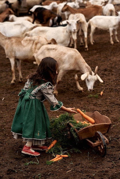 Enfant mignon dans de belles robes vertes marchant dans une ferme sur fond de chèvres