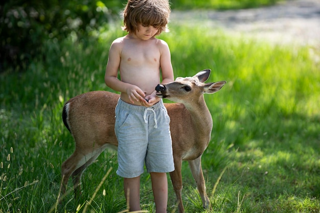 Enfant mignon nourrir bébé cerf fauve bambi en plein air Joli garçon avec un animal gracieux au parc Adaptation pour enfants