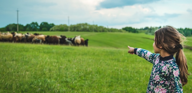 Enfant avec des moutons et des chèvres dans le pré