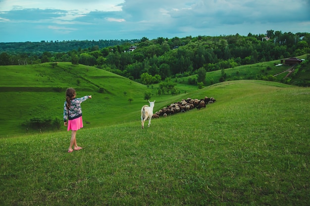 Enfant avec des moutons et des chèvres dans le pré