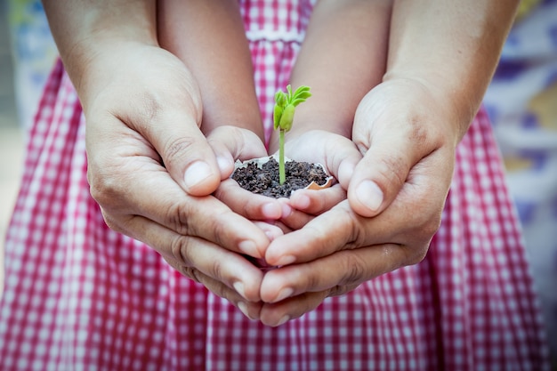 Enfant, à, parents, main, tenue, jeune arbre, dans, coquille oeuf, ensemble, pour, préparer, plante terre, sauver, concept monde