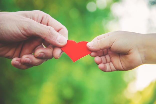 Enfant et père ont un coeur dans leurs mains. Mise au point sélective.