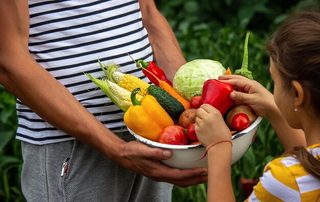 L'enfant et le père tiennent des légumes frais dans leurs mains Mise au point sélective