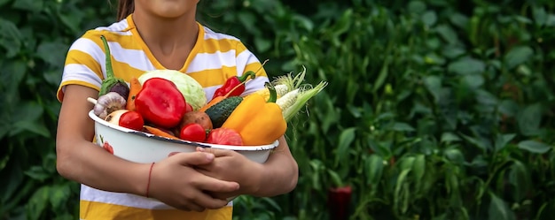 L'enfant et le père tiennent des légumes frais dans leurs mains Mise au point sélective