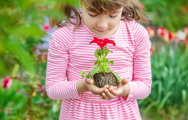 Un enfant plante un jardin fleuri. Mise au point sélective.
