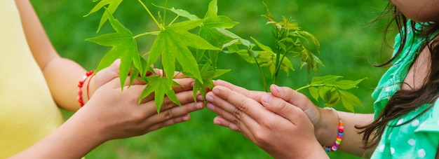 Un enfant plante une plante dans le jardin Mise au point sélective