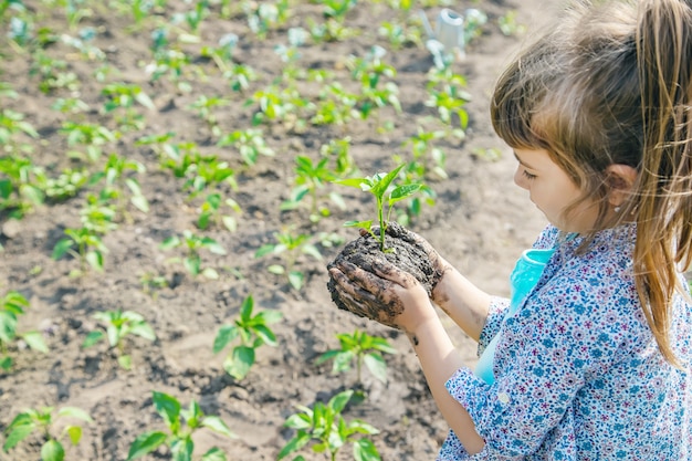 Enfant des plantes et arrosage des plantes dans le jardin. Mise au point sélective.