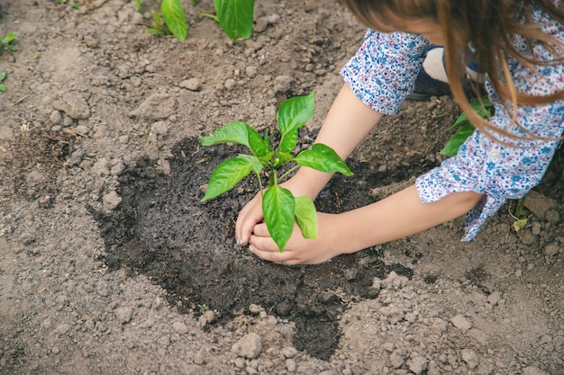 Enfant des plantes et arrosage des plantes dans le jardin.