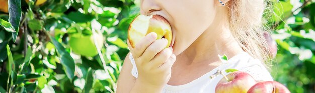 Enfant avec une pomme. Mise au point sélective. Jardin.