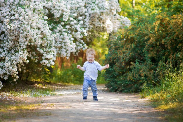 Enfant qui court dans un verger de pommiers au printemps