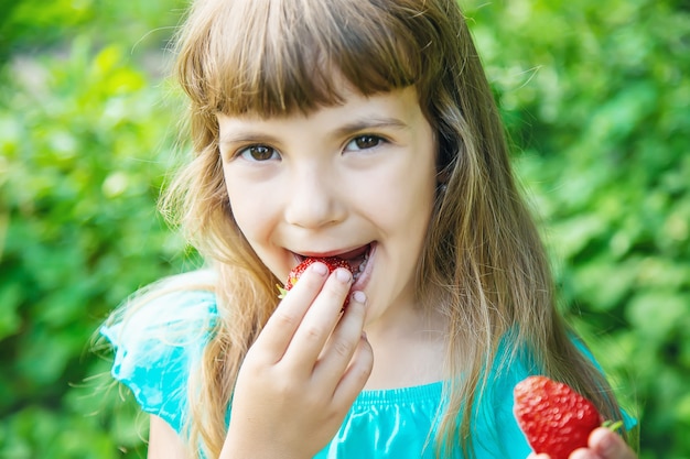 L&#39;enfant ramasse des fraises dans le jardin. Mise au point sélective.