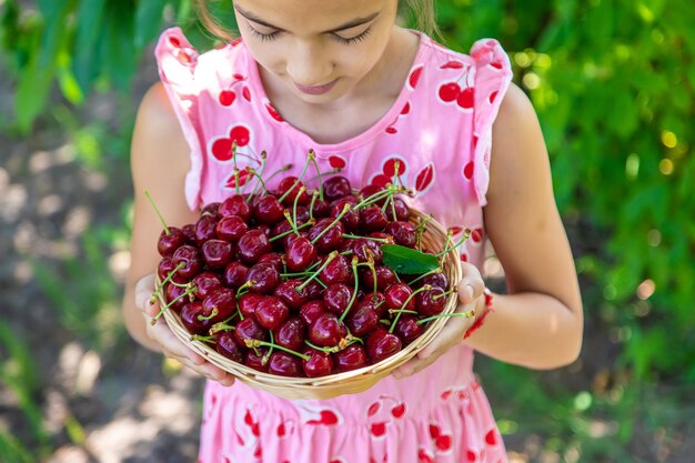 Un enfant récolte des cerises dans le jardin Mise au point sélective