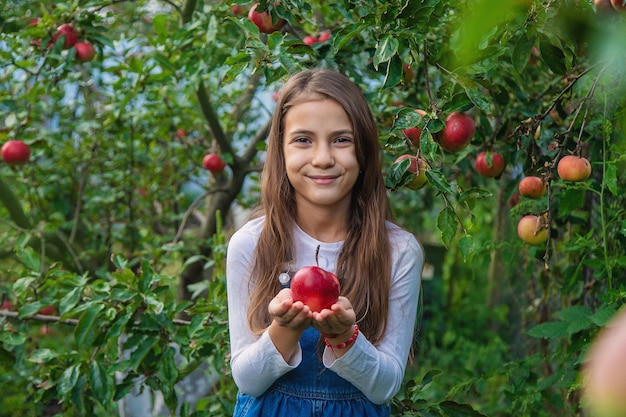 Un enfant récolte des pommes dans le jardin Mise au point sélective