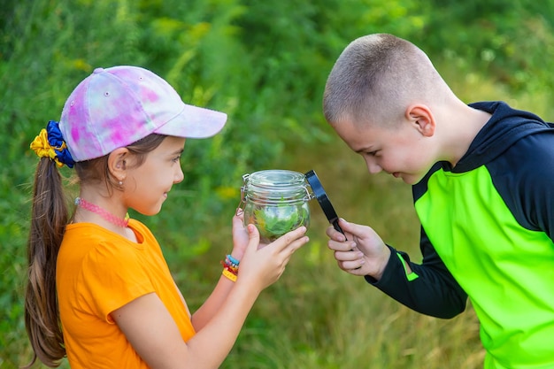 L'enfant regarde l'escargot Mise au point sélective