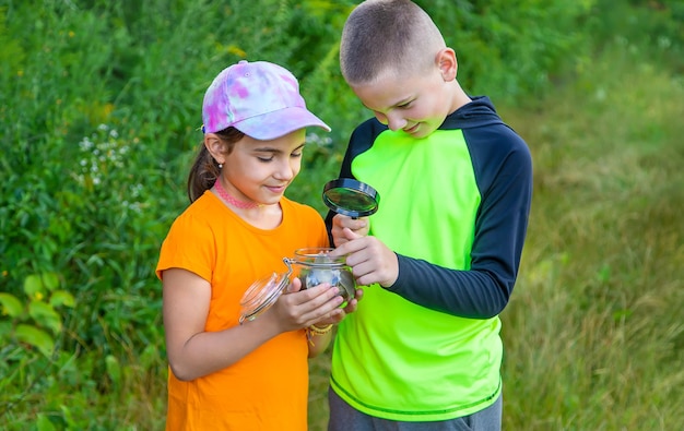 L'enfant regarde l'escargot Mise au point sélective