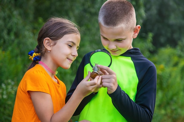 L'enfant regarde l'escargot Mise au point sélective