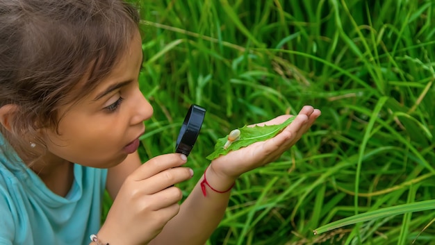 L'enfant regarde l'escargot à travers une loupe. Mise au point sélective. Nature.