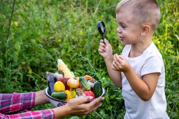 Un enfant regarde des légumes frais dans un bol à travers une loupe Nature