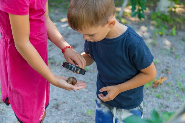 L'enfant regarde la nature de l'escargot Mise au point sélective