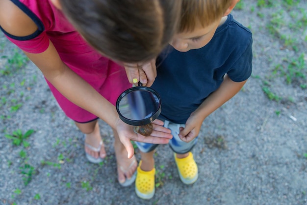 L'enfant regarde la nature de l'escargot Mise au point sélective