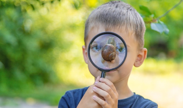 L'enfant regarde la nature de l'escargot Mise au point sélective