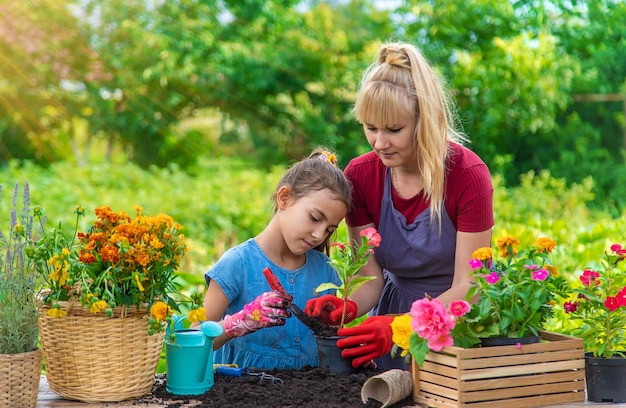 Un enfant avec sa mère plante des fleurs dans le jardin Mise au point sélective