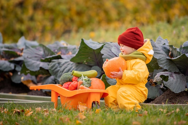 Un enfant en salopette jaune conduit une petite voiture avec des légumes sur fond de potager et de parterres de choux