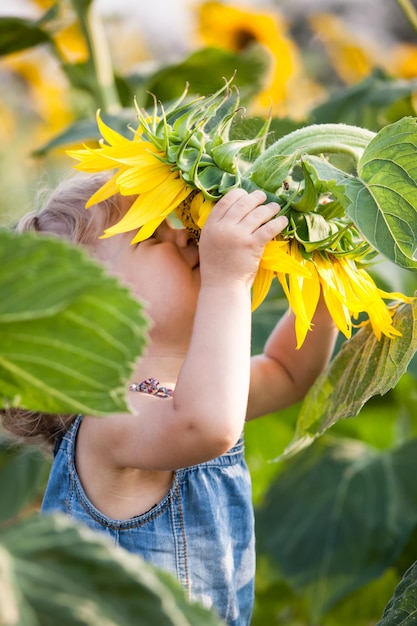 Enfant sentant le tournesol dans le champ de printemps