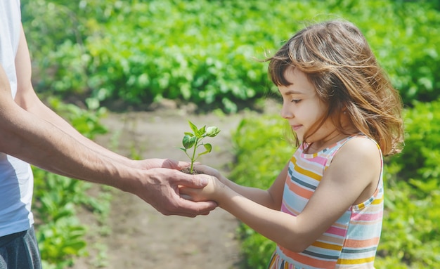 Un enfant avec son père plante une pépinière.