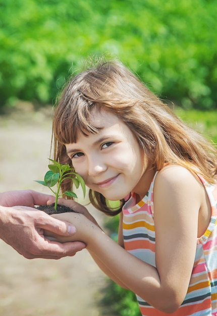 Un enfant avec son père plante une pépinière.