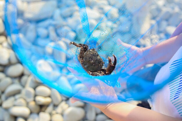 L'enfant tenant un filet avec un petit crabe noir